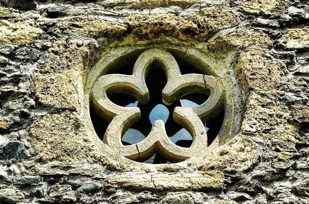 Fiore delle Alpi a Chianocco